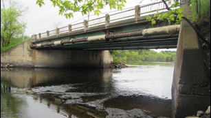 Biological Assessment for Bridge Replacement Project